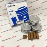 Поршни  Мотордеталь кострома  8V клапанный двигатель ВАЗ Гранта FL Ларгус FL  Веста NG